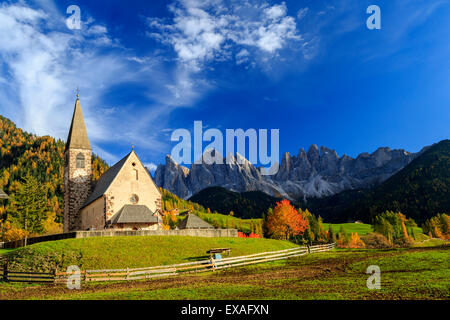 Church of St. Magdalena immersed in the colors of autumn, Val di Funes, South Tyrol, Italy Stock Photo