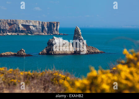 Church Rock, Broad Haven Beach, Pembrokeshire, West Wales, Wales, United Kingdom, Europe Stock Photo