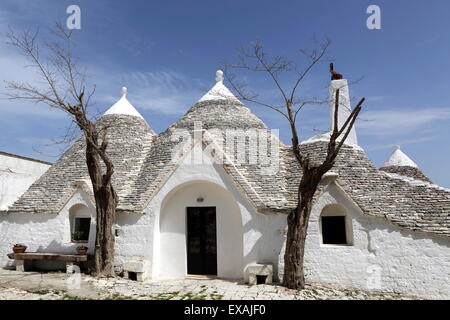 A traditional trullo house at Masseria Tagliente, an agricultural and agrotourism hub near Martina Franca, Apulia, Italy, Europe Stock Photo