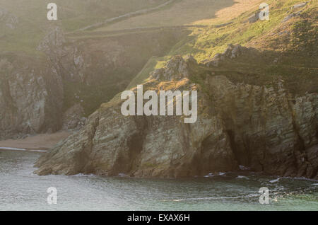 Rocky cliff and coast, East Prawle, Gammon Head, Devon, West Coast, UK Stock Photo