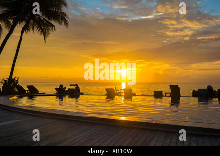 Sunset, beach chairs, palm trees, infinity swimming pool silhouette. Maldives Stock Photo