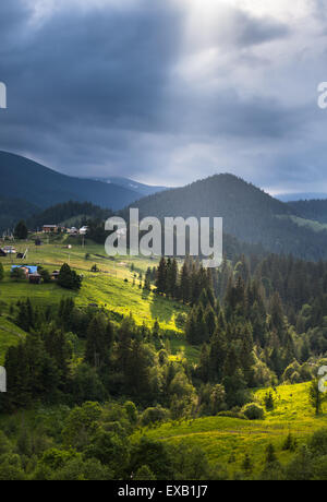Landscape with fog in mountains and rows of trees Stock Photo - Alamy