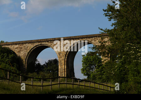 The Cefn railway viaduct at Ty Mawr Country Park, Wrexham,north Wales Stock Photo