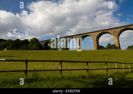 The Cefn railway viaduct at Ty Mawr Country Park, Wrexham,north Wales Stock Photo