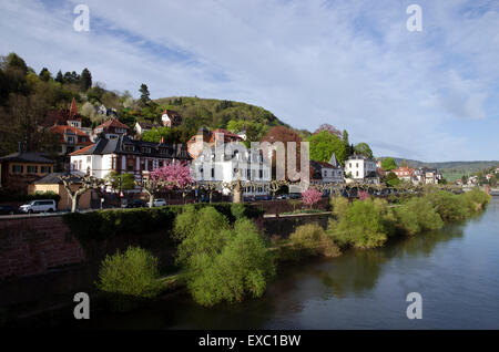 neuenheim district of heidelberg river neckar germany Stock Photo