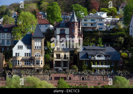 neuenheim district of heidelberg river neckar germany Stock Photo