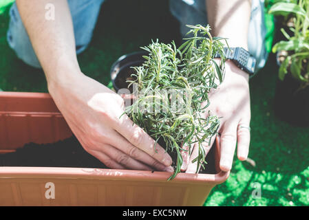 close up of man hands gardening on the balcony at home Stock Photo