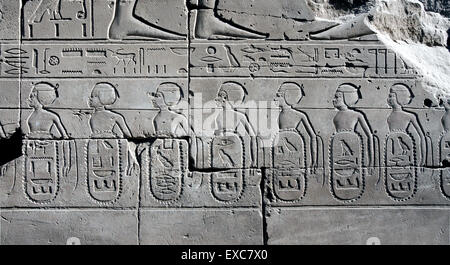 Karnak, Luxor, Egypt. Temple of Karnak sacred to god Amon: the won cities from Tuthmosis III carved in a wall