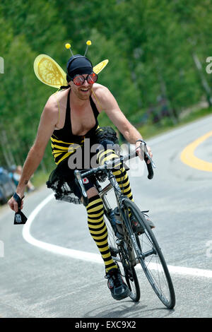 Man dressed as a bee riding a bicycle, USA Pro Challenge bicycle race, McClure Pass, Colorado USA Stock Photo