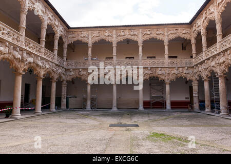 Patio of Palace of El Infantado, Palacio del Infantado, , Guadalajara Stock Photo