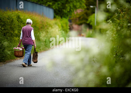 Runcorn is an industrial town and cargo port in Halton, Cheshire, UK.  Pictured Walking to St Chads Church down a country lane w Stock Photo