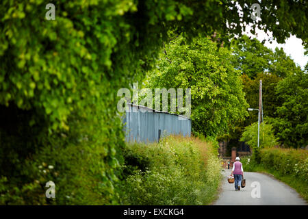 Runcorn is an industrial town and cargo port in Halton, Cheshire, UK.  Pictured Walking to St Chads Church down a country lane w Stock Photo