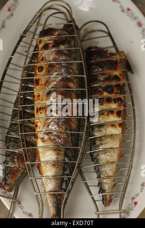 Barbecuing mackerel on charcoal fire closeup image. Stock Photo