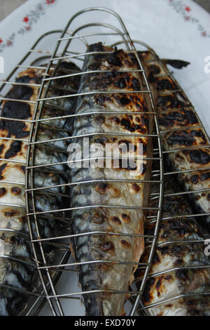 Barbecuing mackerel on charcoal fire closeup image. Stock Photo