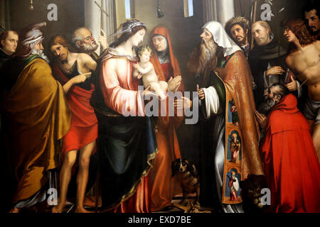 'The Presentation of Jesus in the Temple' by Passerotti is an oil on wood painting hanging in the Museo del Palazzo dei Conserva Stock Photo