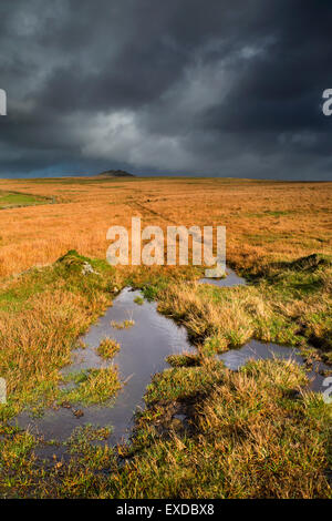 Rough Tor ; Bodmin Moor; Cornwall; UK Stock Photo
