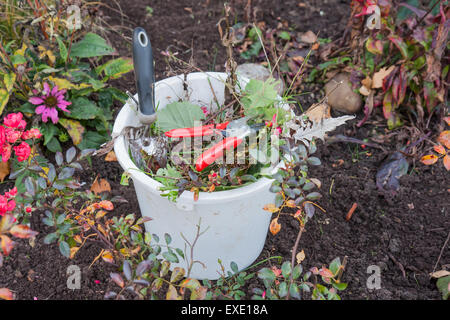 Plastic bucket with garden tools and garden waste Stock Photo