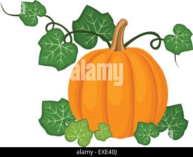 Vector illustration with pumpkin and leaves isolated on white ...