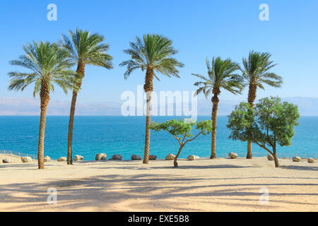 Vivid bright and vibrant saturated scenery of Dead Sea with palm trees on sunshine coast Stock Photo