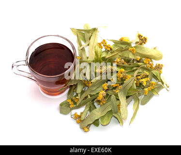 glass of lime tea and fresh lobes of a linden Stock Photo