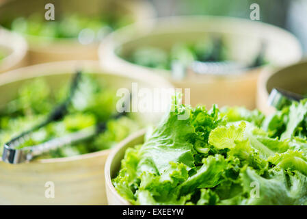 mixed lettuce salad leaves in bowls in restaurant display Stock Photo