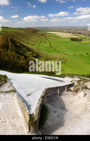 Westbury white horse (Bratton Camp hillfort). Viewed from above the horse's head. Stock Photo