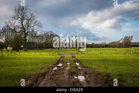 Muddy tracks leading to a cricket ground amongst farm land and fields, Long Itchington, Warwickshire, UK Stock Photo