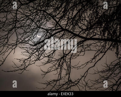 Partial solar eclipse through trees as seen from Oxford England on the 20th March 2015, Oxford, England, UK Stock Photo