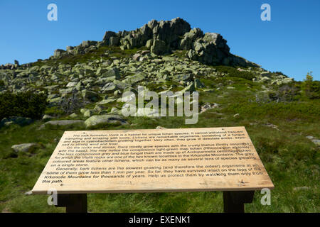 Violik, The Giant Mountains, Krkonose, Karkonoski Park Narodowy Karkonosze, Czech Republic - Poland border, The source of LABE Stock Photo