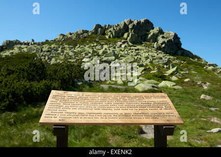 Violik, The Giant Mountains, Krkonose, Karkonoski Park Narodowy Karkonosze, Czech Republic - Poland border, The source of LABE Stock Photo