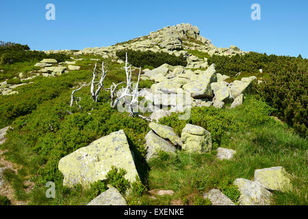 Violik, The Giant Mountains, Krkonose, Karkonoski Park Narodowy Karkonosze, Czech Republic - Poland border, The source of LABE Stock Photo