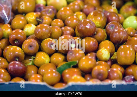 Prunus background with prunes Stock Photo