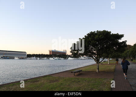 A jogger runs along the Glebe Foreshore walk at Bicentennial Park alongside Rozelle Bay. Stock Photo