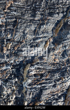 Exf Background Background for your wallpapers Stock Photo - Alamy