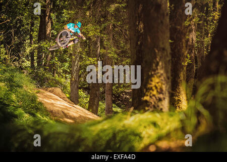 Young male mountain biker jumping mid air in forest Stock Photo