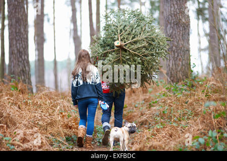 Rear view of young couple carrying Christmas tree on shoulders in woods Stock Photo