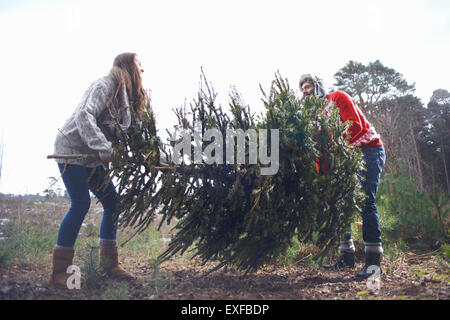 Young man lifting Christmas tree in woods Stock Photo