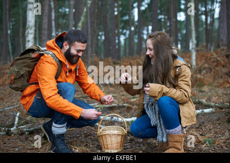 Young hiking couple collecting pine cones in forest Stock Photo