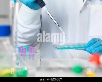 Scientist pipetting sample into multi well tray for analytical testing in laboratory Stock Photo