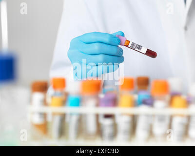 Close up of scientists hands selecting a blood sample for medical testing Stock Photo