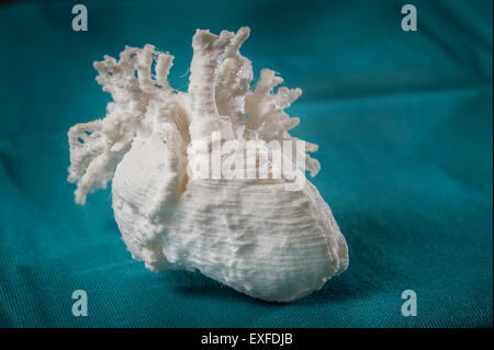 3D printed model of a child's heart Stock Photo