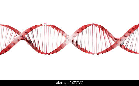 Glass DNA strand on white background Stock Photo