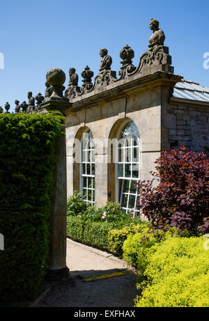 A glimpse of the First Dukes Greenhouse or Orangery backing the rose garden in Chatsworth Gardens Derbyshire Peak District UK Stock Photo