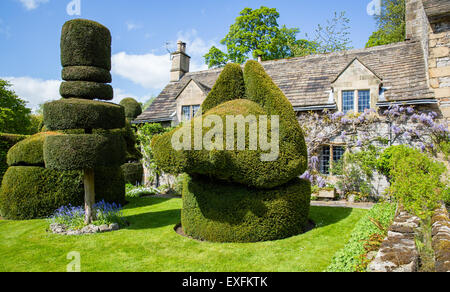 Topiary garden  with giant boar outside a wisteria covered cottage at Haddon Hall near Bakewell in Derbyshire UK Stock Photo