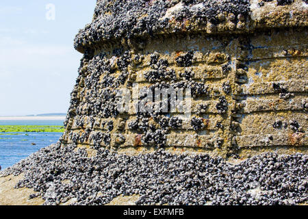 Derelict Whiteford lighthouse on the Gower peninsula in Wales is the only wave swept cast iron lighthouse in Britain Stock Photo