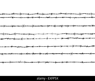 barbed wire Stock Photo