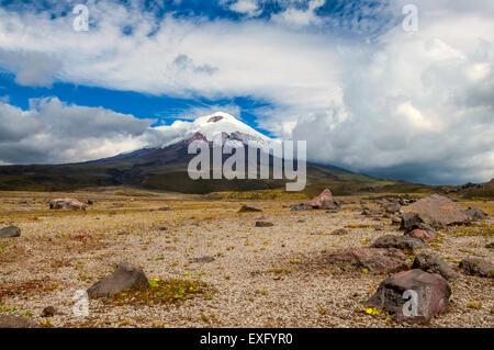 Cotopaxi volcano over the plateau, Andean Highlands of Ecuador, South America Stock Photo