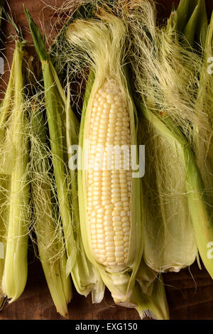 A partially shucked ear of fresh picked corn on the cob. Surrounded by silk and husk in vertical format. Stock Photo