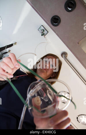 Female EMT giving patient oxygen in the back of an ambulance. Stock Photo