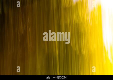 Blurry abstract background of green summer forest photographed on long exposure with motion effect. Stock Photo